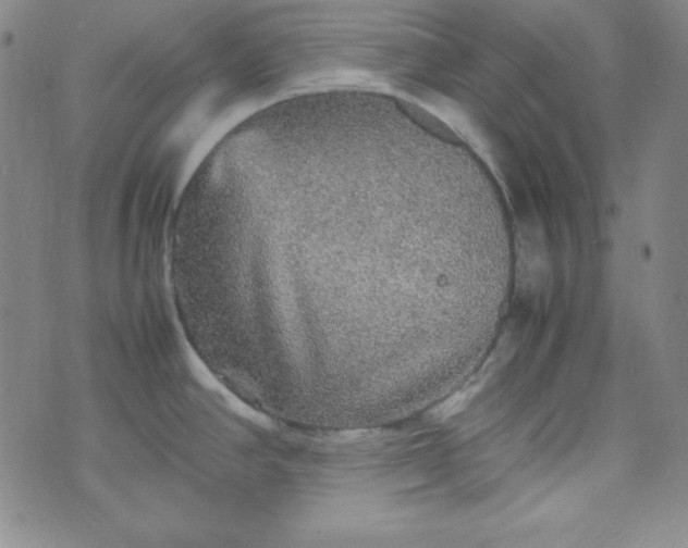 X0000070411390200606231817