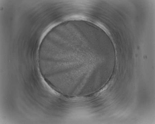 X0000070411392200606231817