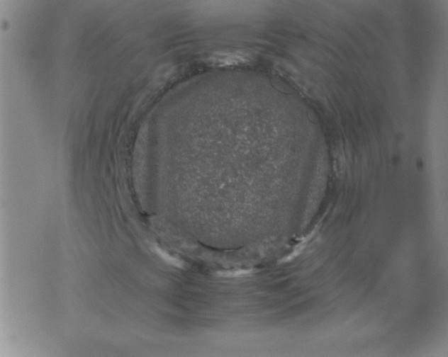 X0000070411393200606231816