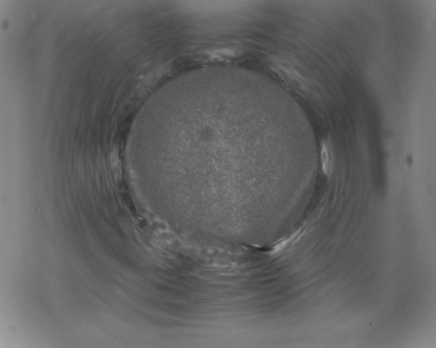 X0000070411395200606231816