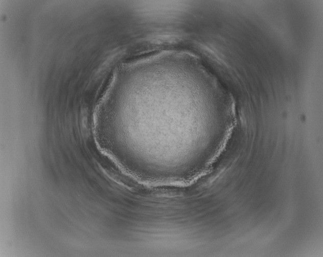 X0000070411396200606231816