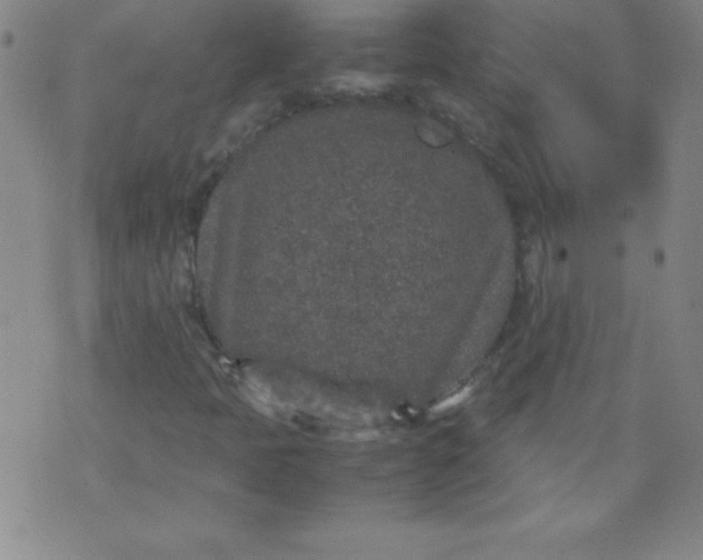 X0000070411397200606231816