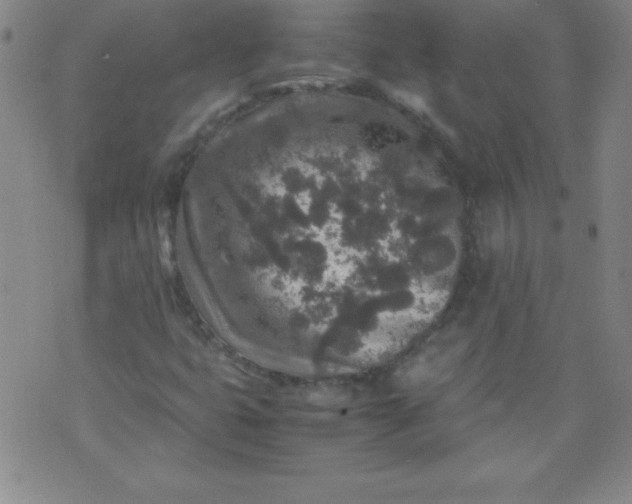 X0000070411399200606231816