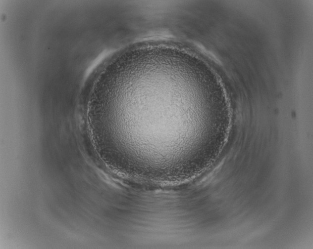 X0000070411400200606231816