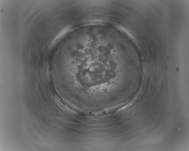 X0000070411403200606231816