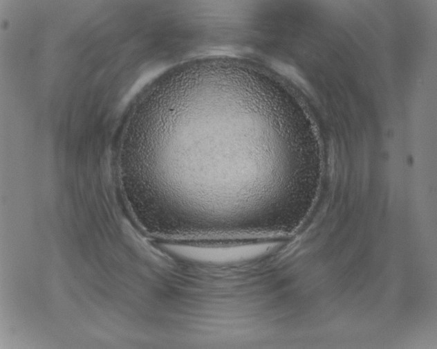 X0000070411404200606231816