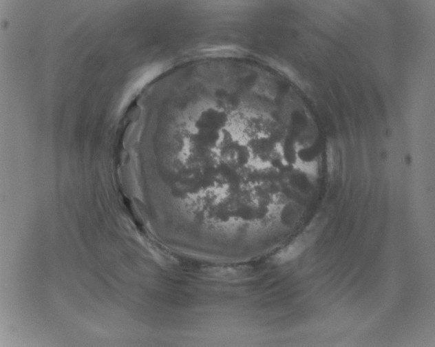 X0000070411405200606231816