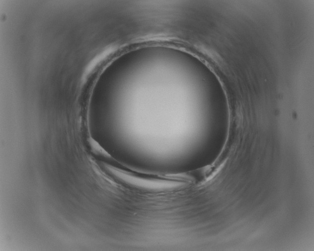 X0000070411406200606231816