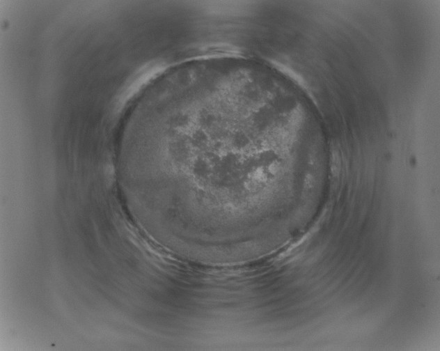 X0000070411407200606231816