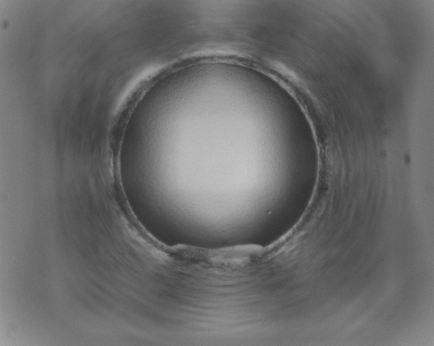 X0000070411408200606231816