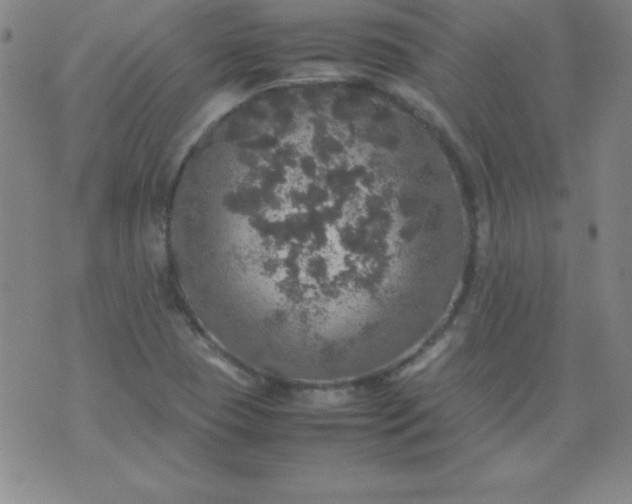 X0000070411409200606231816