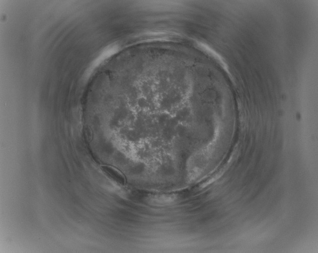 X0000070411411200606231816