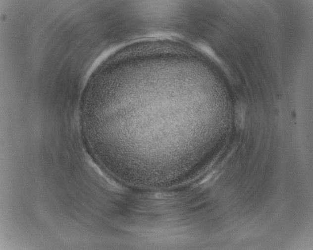 X0000070411412200606231816