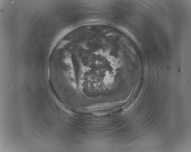 X0000070411413200606231817