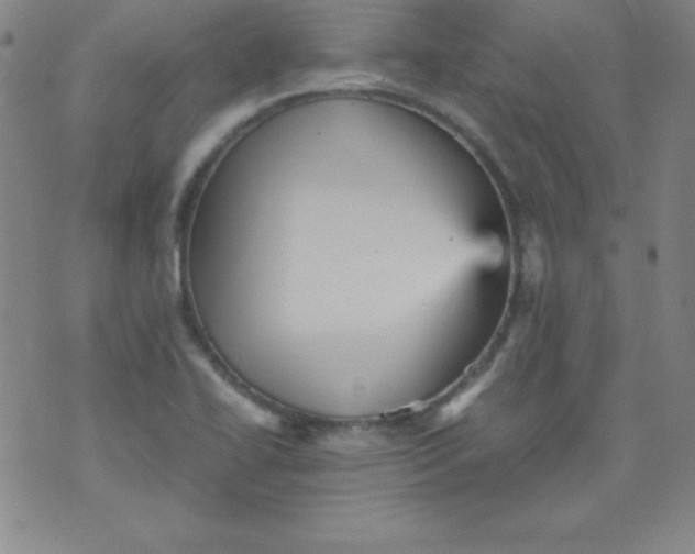 X0000070411414200606231817