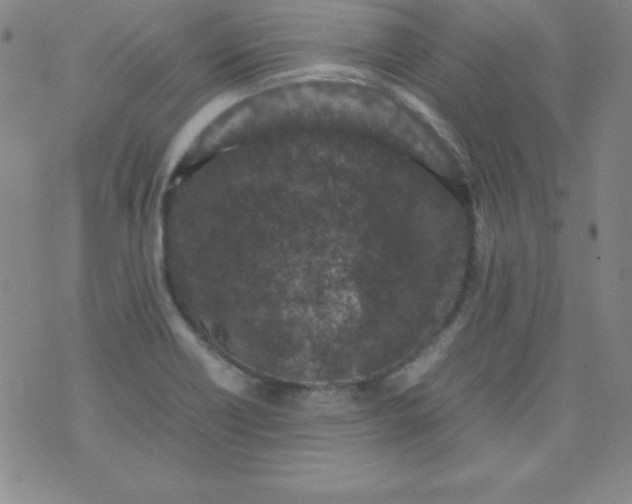 X0000070411418200606231817