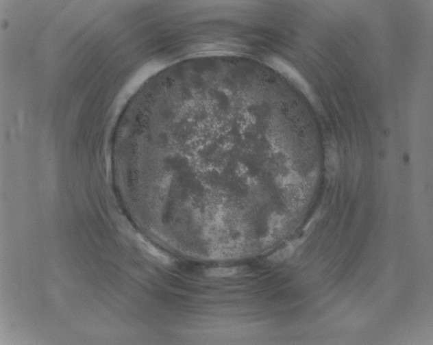 X0000070411419200606231817