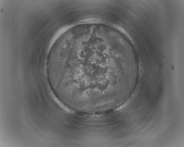 X0000070411421200606231817