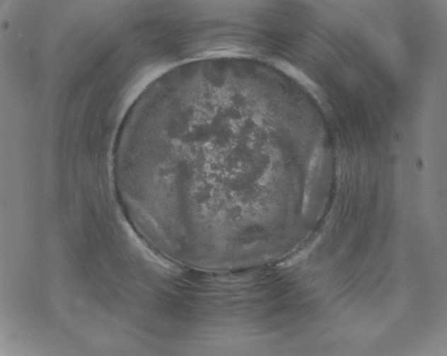 X0000070411423200606231817