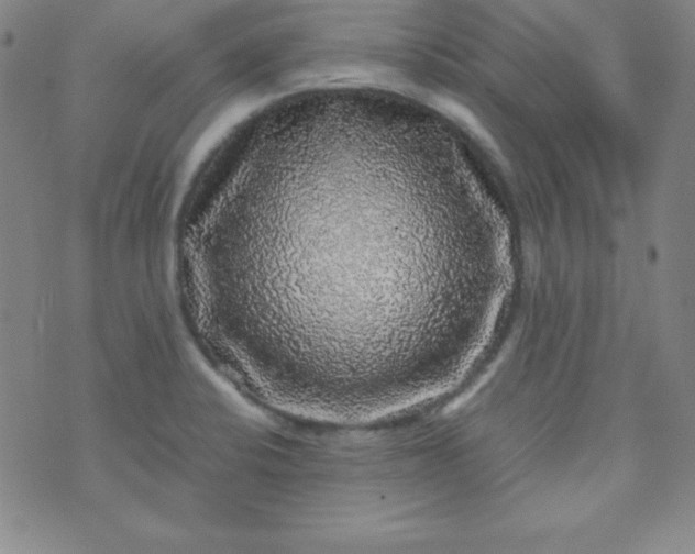 X0000070411424200606231817