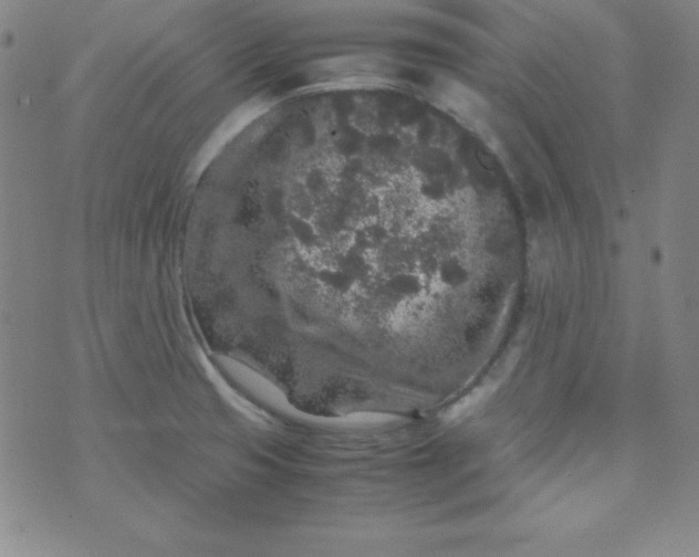 X0000070411425200606231817