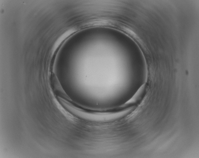 X0000070411426200606231817