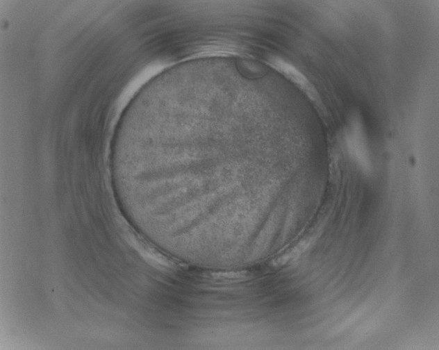 X0000070411427200606231817