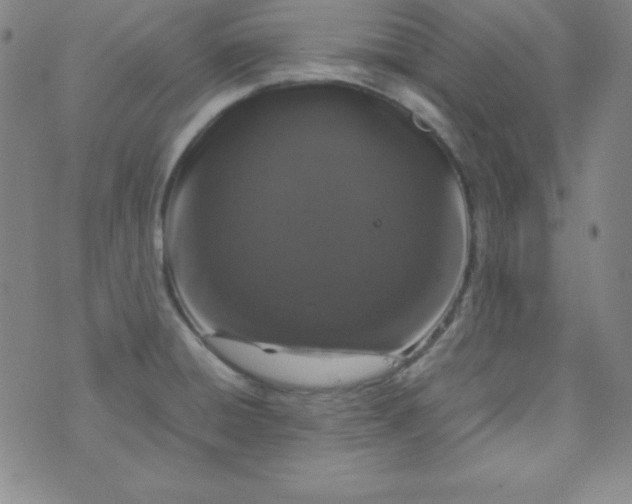 X0000070411428200606231817