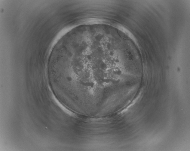 X0000070411429200606231817