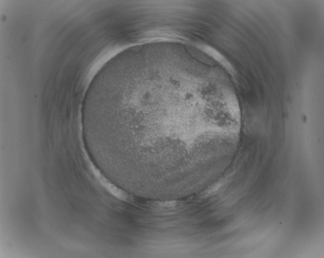 X0000070411431200606231817