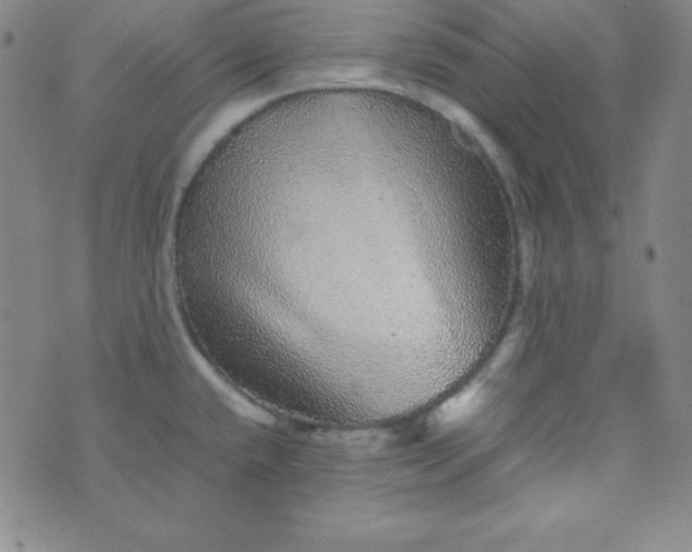 X0000070411432200606231817