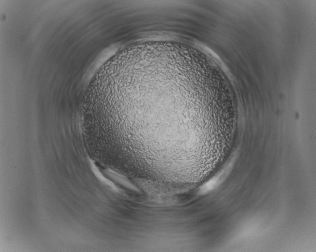 X0000070411433200606231817