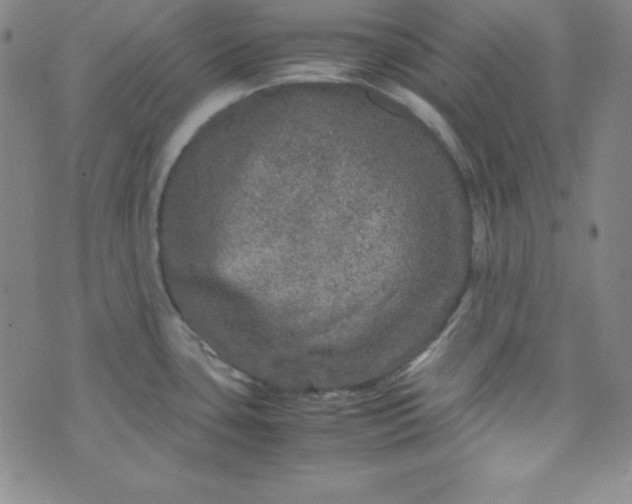 X0000070411435200606231817