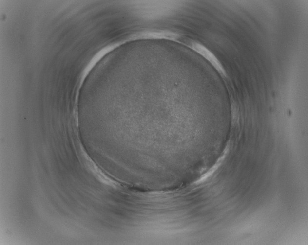 X0000070411436200606231817