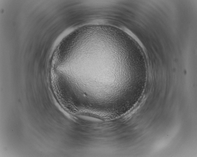 X0000070411437200606231817