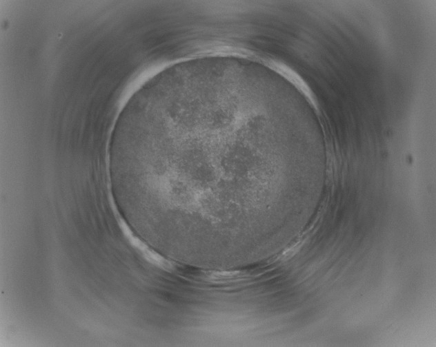 X0000070411439200606231817