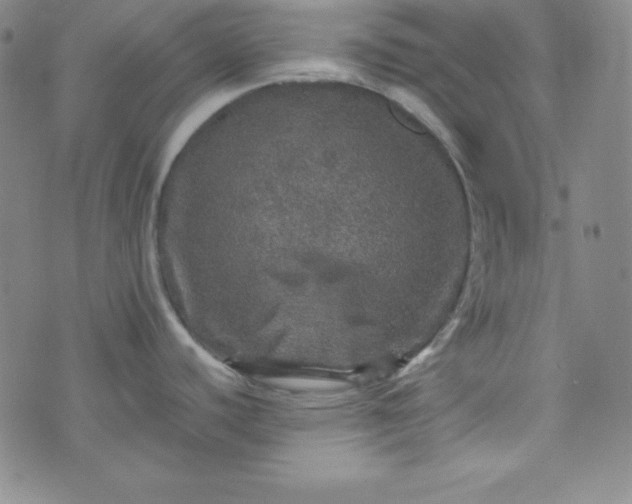 X0000070411440200606231817