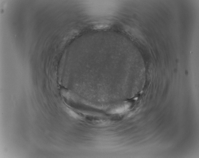 X0000070411441200606231816