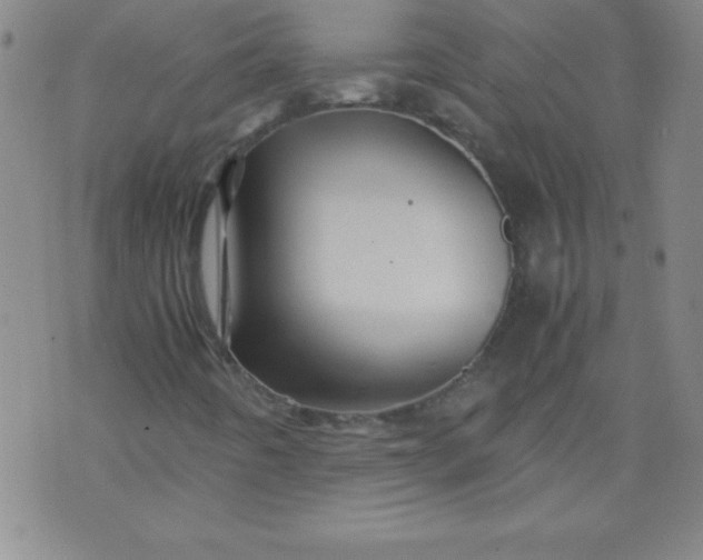 X0000070411442200606231816