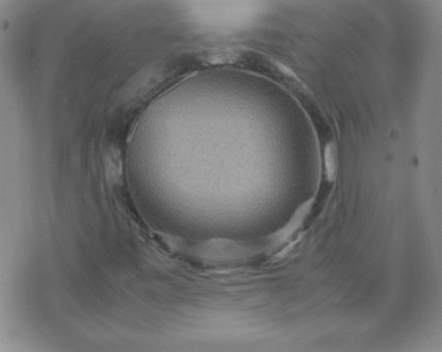 X0000070411443200606231816