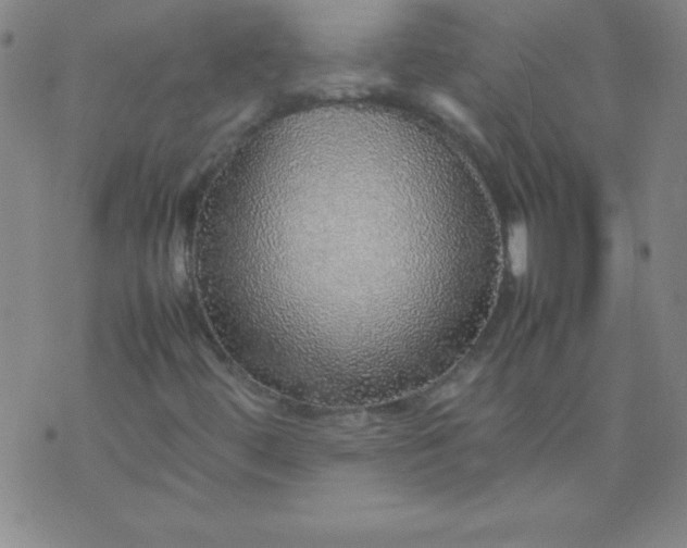 X0000070411444200606231816