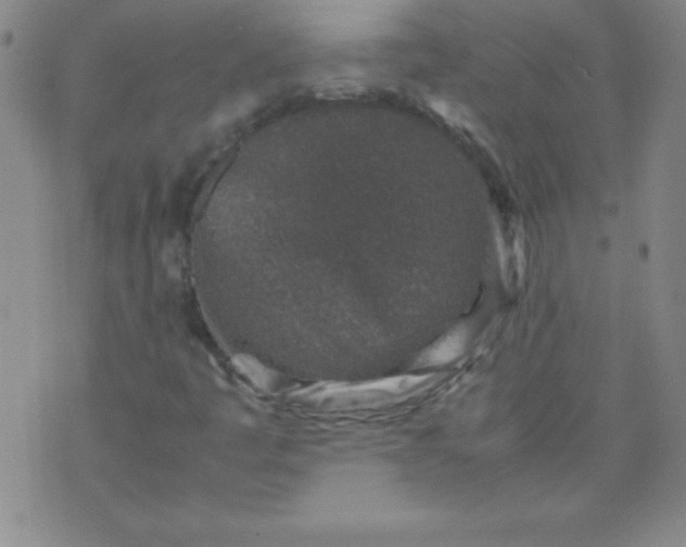 X0000070411445200606231816