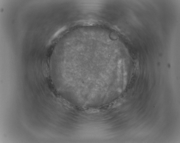 X0000070411446200606231816