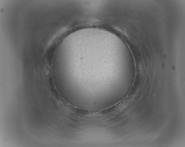 X0000070411447200606231816