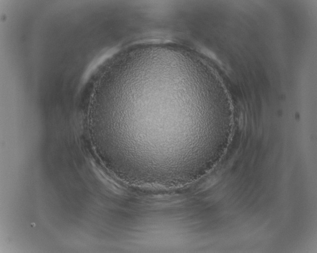 X0000070411448200606231816