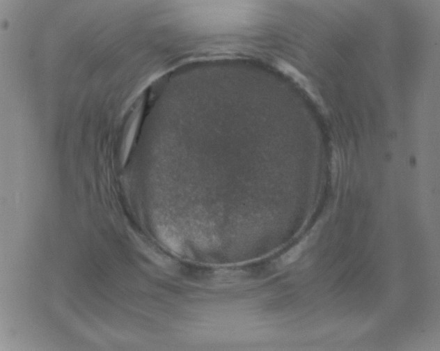 X0000070411449200606231816