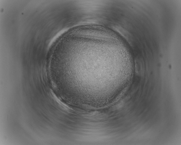 X0000070411452200606231816