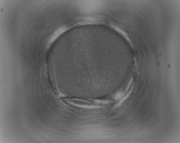 X0000070411453200606231816