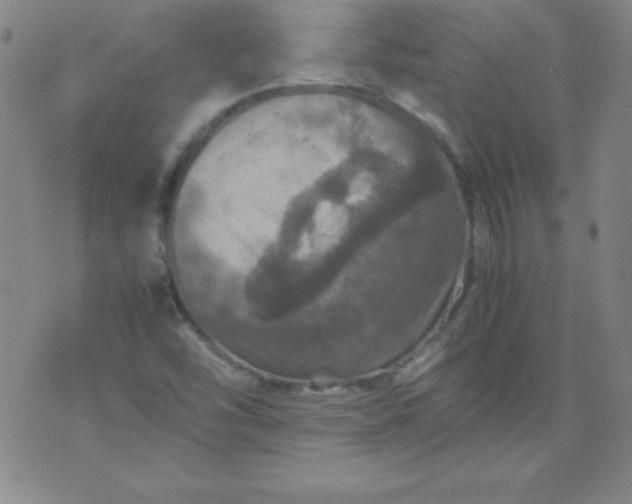 X0000070411454200606231816