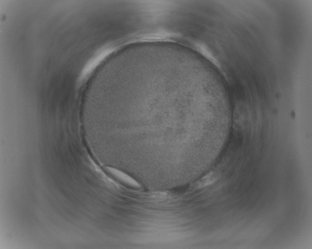 X0000070411456200606231816